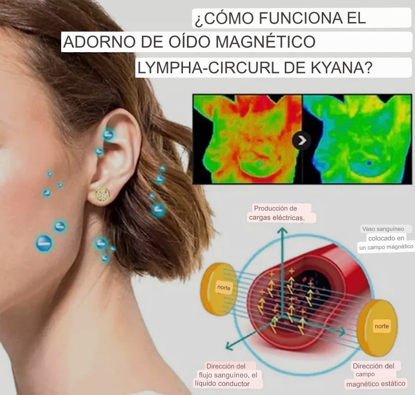 Pendientes Negro Magnético Acupuntura  Pérdida de Peso Pendiente Bio Estimulante Puntos de Acupuntura Salud